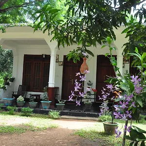 sigiriya-flower-guest.kandyhotelsnow.com/